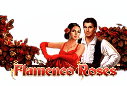 Novomatic Flamenco Roses logo