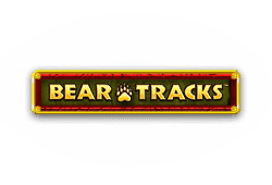 Novomatic Bear Tracks logo