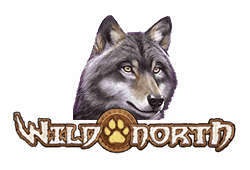 Play'n GO Wild North logo