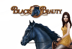 Bally Black Beauty logo