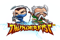 Net Entertainment Thunderfist logo