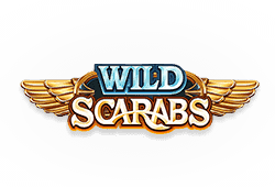 Microgaming Wild Scarabs logo