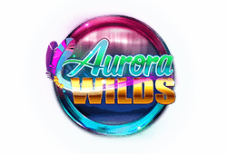 Microgaming Aurora Wilds logo